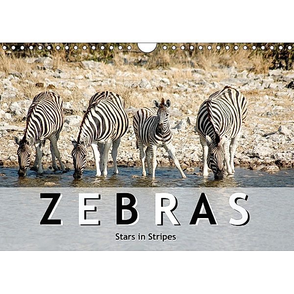 Zebras, stars in stripes (Wall Calendar 2019 DIN A4 Landscape), ROBERT STYPPA