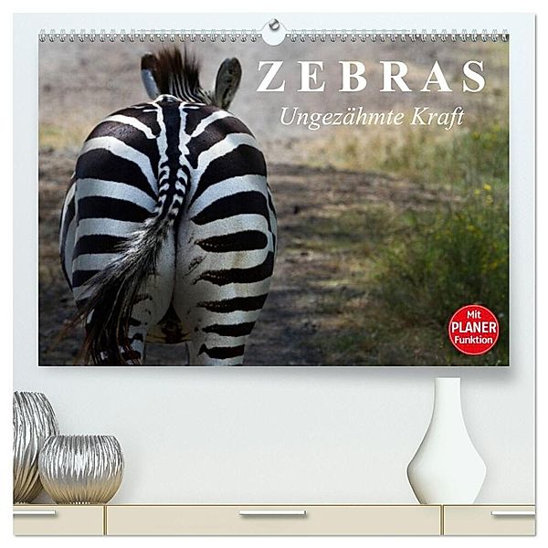 Zebras - Ungezähmte Kraft (hochwertiger Premium Wandkalender 2025 DIN A2 quer), Kunstdruck in Hochglanz, Calvendo, Elisabeth Stanzer
