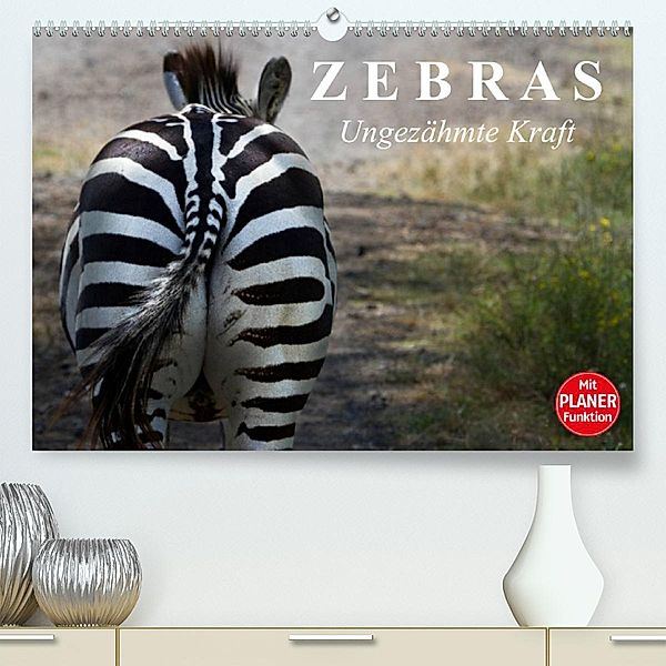 Zebras - Ungezähmte Kraft (Premium, hochwertiger DIN A2 Wandkalender 2023, Kunstdruck in Hochglanz), Elisabeth Stanzer