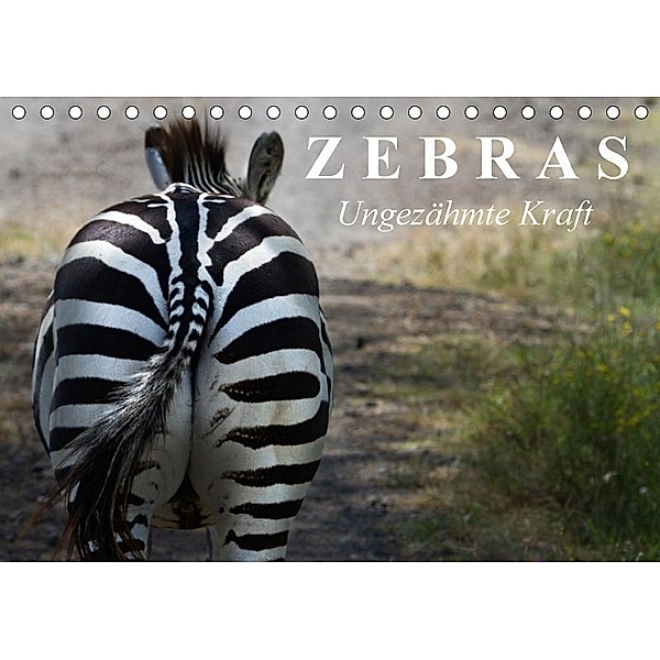 Zebras - Ungezähmte Kraft (Tischkalender 2017 DIN A5 quer), Elisabeth Stanzer
