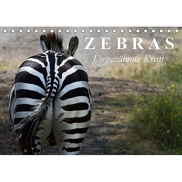 Zebras - Ungezähmte Kraft (Tischkalender 2018 DIN A5 quer), Elisabeth Stanzer