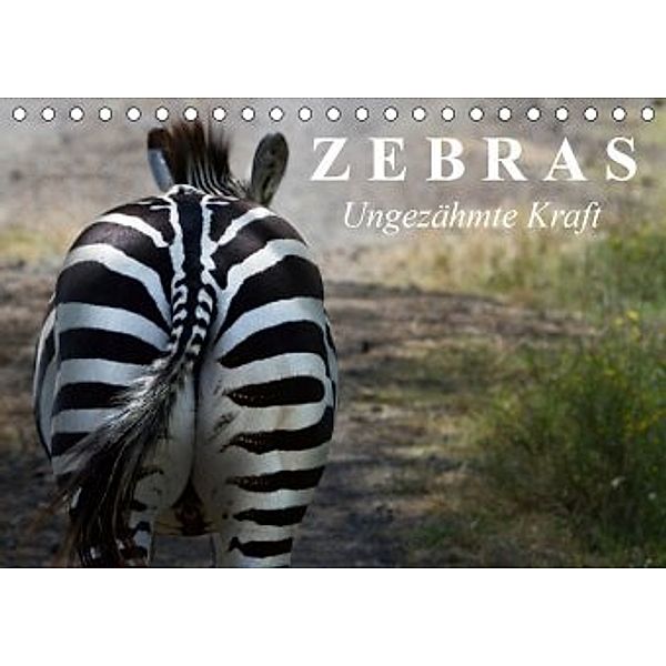 Zebras - Ungezähmte Kraft (Tischkalender 2020 DIN A5 quer), Elisabeth Stanzer