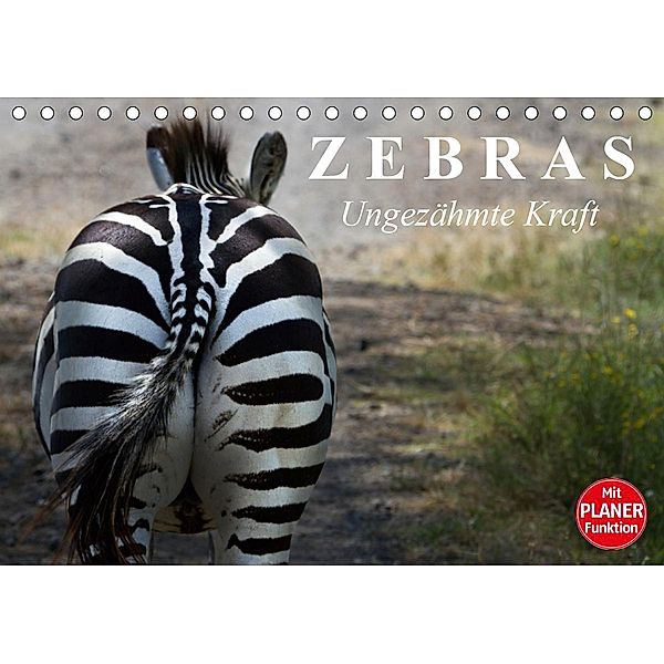 Zebras - Ungezähmte Kraft (Tischkalender 2021 DIN A5 quer), Elisabeth Stanzer