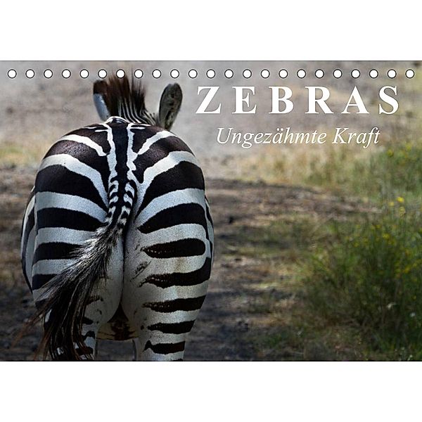 Zebras - Ungezähmte Kraft (Tischkalender 2023 DIN A5 quer), Elisabeth Stanzer