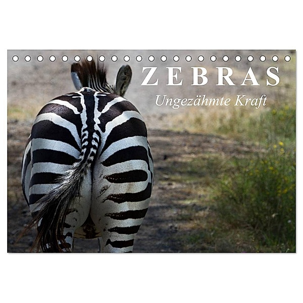 Zebras - Ungezähmte Kraft (Tischkalender 2024 DIN A5 quer), CALVENDO Monatskalender, Elisabeth Stanzer