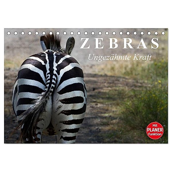 Zebras - Ungezähmte Kraft (Tischkalender 2024 DIN A5 quer), CALVENDO Monatskalender, Elisabeth Stanzer
