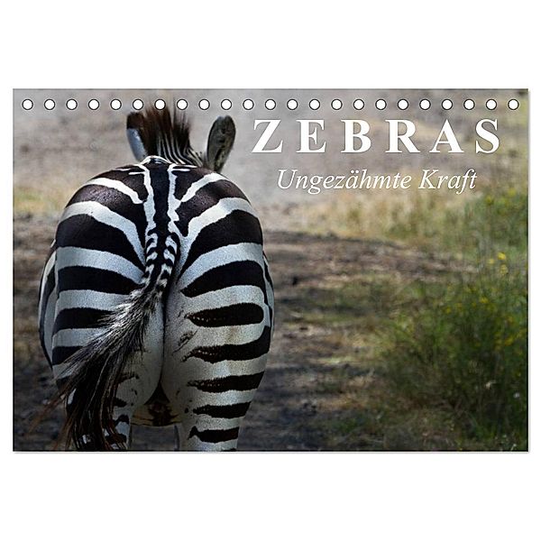Zebras - Ungezähmte Kraft (Tischkalender 2025 DIN A5 quer), CALVENDO Monatskalender, Calvendo, Elisabeth Stanzer