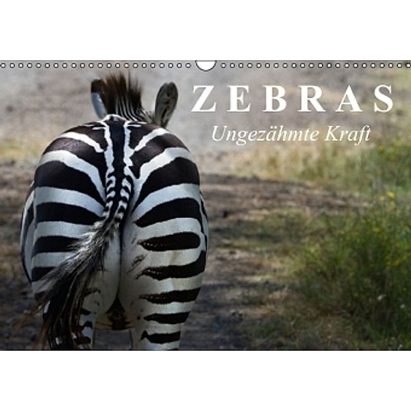 Zebras Ungezähmte Kraft (Wandkalender 2015 DIN A3 quer), Elisabeth Stanzer