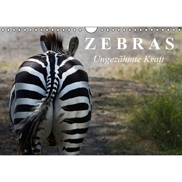 Zebras Ungezähmte Kraft (Wandkalender 2015 DIN A4 quer), Elisabeth Stanzer