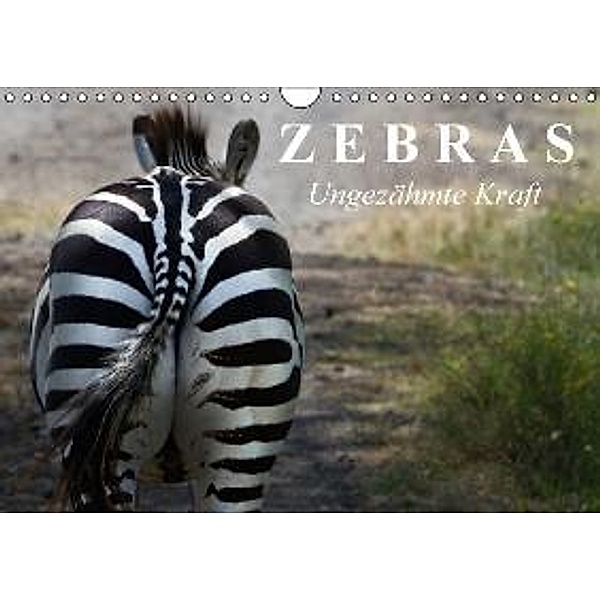 Zebras - Ungezähmte Kraft (Wandkalender 2015 DIN A4 quer), Elisabeth Stanzer