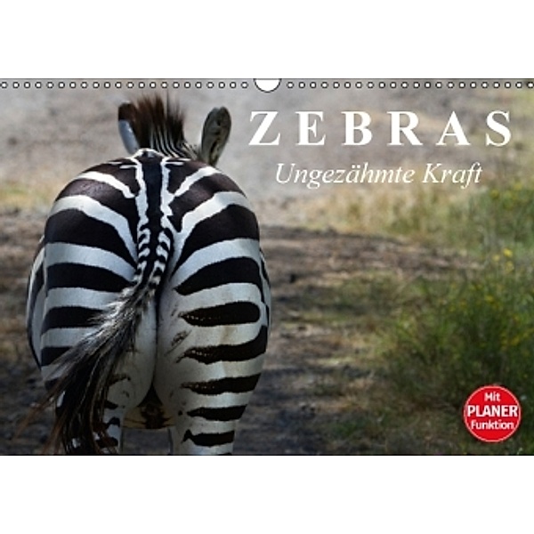Zebras - Ungezähmte Kraft (Wandkalender 2016 DIN A3 quer), Elisabeth Stanzer