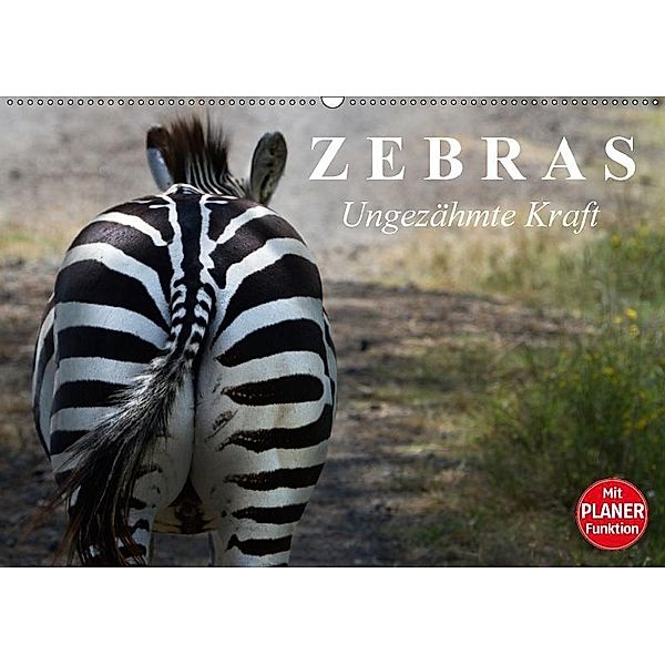 Zebras - Ungezähmte Kraft (Wandkalender 2017 DIN A2 quer), Elisabeth Stanzer