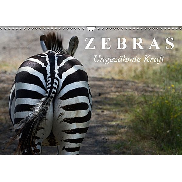 Zebras - Ungezähmte Kraft (Wandkalender 2018 DIN A3 quer), Elisabeth Stanzer