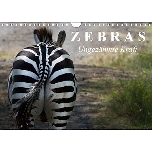 Zebras - Ungezähmte Kraft (Wandkalender 2020 DIN A4 quer), Elisabeth Stanzer