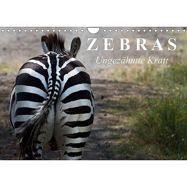 Zebras - Ungezähmte Kraft (Wandkalender 2023 DIN A4 quer), Elisabeth Stanzer