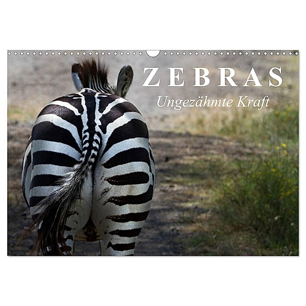 Zebras - Ungezähmte Kraft (Wandkalender 2024 DIN A3 quer), CALVENDO Monatskalender, Elisabeth Stanzer