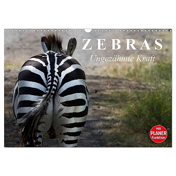 Zebras - Ungezähmte Kraft (Wandkalender 2024 DIN A3 quer), CALVENDO Monatskalender, Elisabeth Stanzer