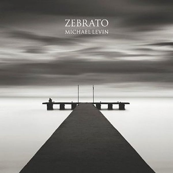 Zebrato, Michael Levin
