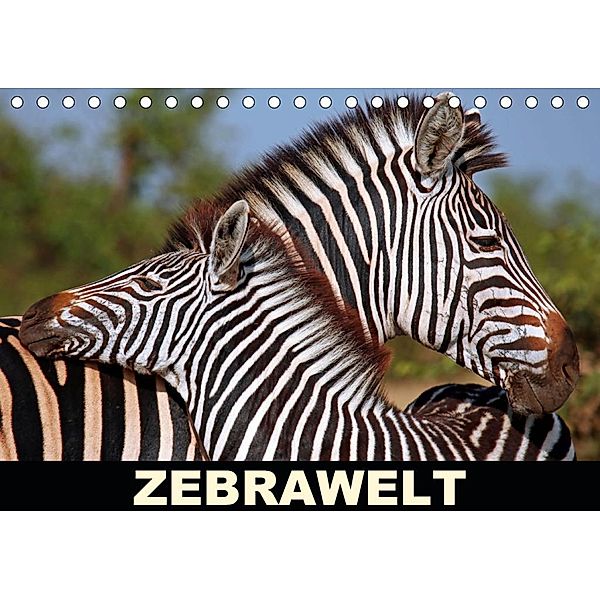 ZEBRAWELT (Tischkalender 2020 DIN A5 quer), Wibke Woyke