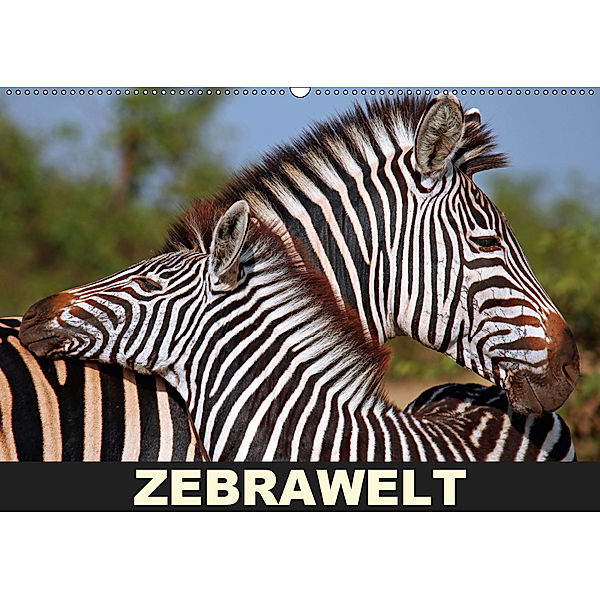 ZEBRAWELT (Wandkalender 2019 DIN A2 quer), Wibke Woyke