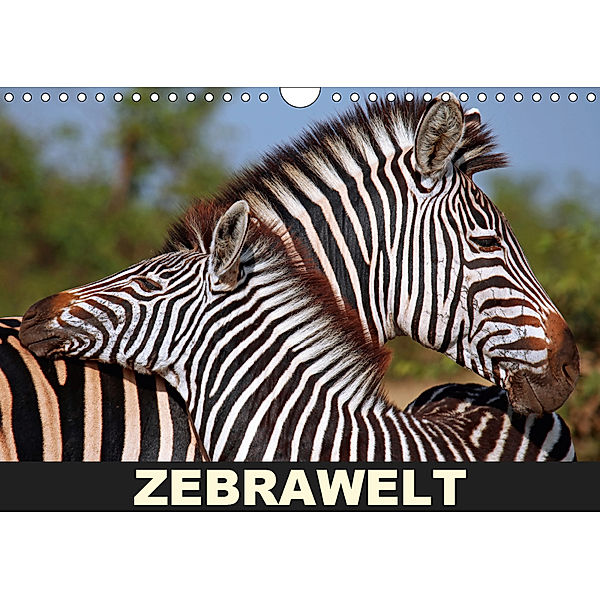 ZEBRAWELT (Wandkalender 2019 DIN A4 quer), Wibke Woyke