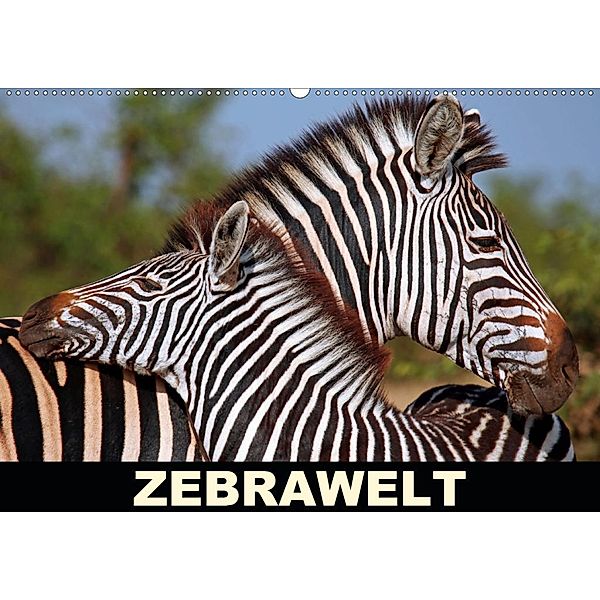 ZEBRAWELT (Wandkalender 2020 DIN A2 quer), Wibke Woyke