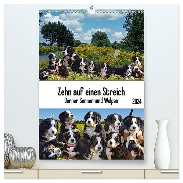 Zehn auf einen Streich (hochwertiger Premium Wandkalender 2024 DIN A2 hoch), Kunstdruck in Hochglanz, Claudia Kleemann