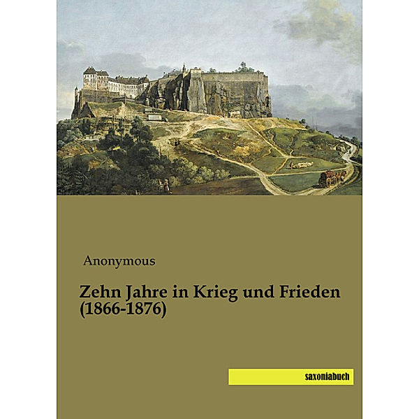 Zehn Jahre in Krieg und Frieden (1866-1876)