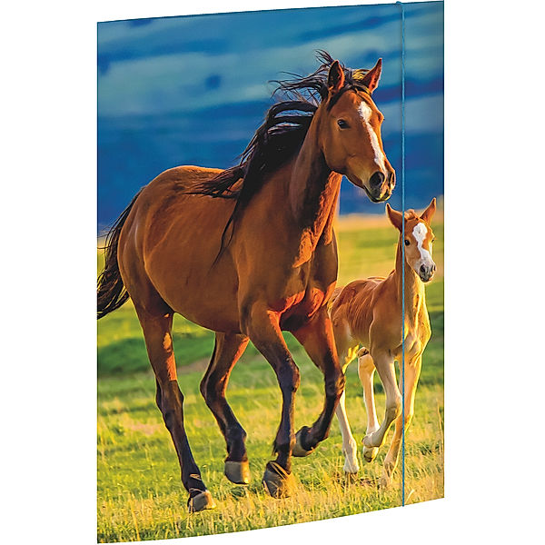 Roth Zeichenmappe FREE HORSES (31x44) A3