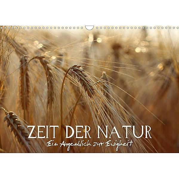 Zeit der Natur - Ein Augenblick zur Ewigkeit (Wandkalender 2023 DIN A3 quer), Vronja Photon (Veronika Verenin)