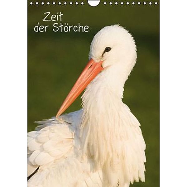 Zeit der Störche (Wandkalender 2016 DIN A4 hoch), Calvendo