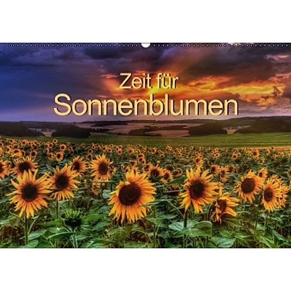 Zeit für Sonnenblumen (Wandkalender 2016 DIN A2 quer), Steffen Gierok