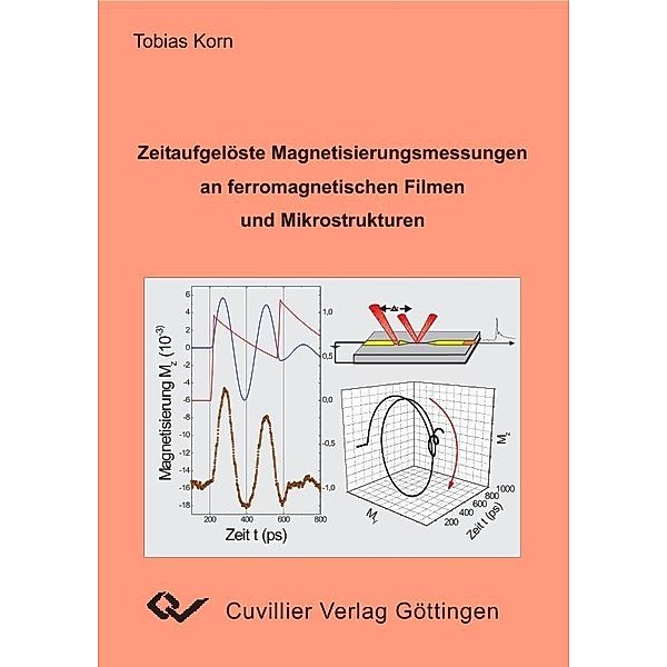 Zeitaufgelöste Magnetisierungsmessungen an ferromagnetischen Filmen und Mikrostrukturen