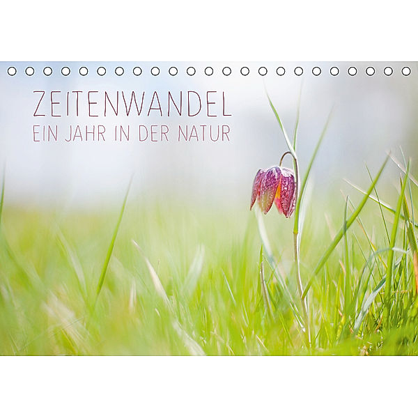 Zeitenwandel - Ein Jahr in der Natur (Tischkalender 2019 DIN A5 quer), Lain Jackson