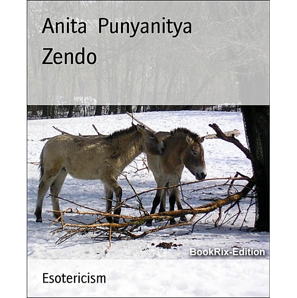 Zendo, Anita Punyanitya