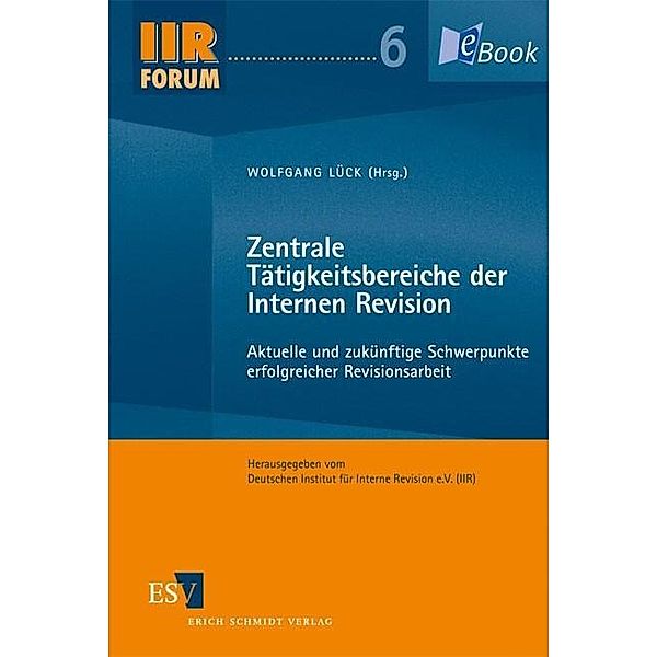 Zentrale Tätigkeitsbereiche der Internen Revision