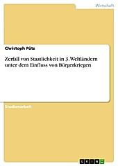 Zerfall von Staatlichkeit in 3. Weltländern unter dem Einfluss von Bürgerkriegen - eBook - Christoph Pütz,