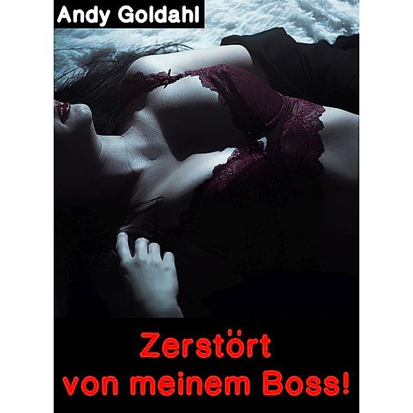 Zerstört von meinem Boss!, Andy Goldahl