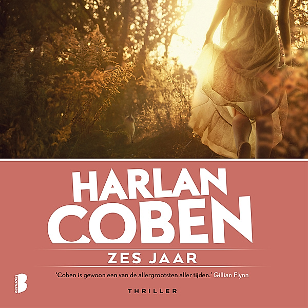 Zes jaar, Harlan Coben