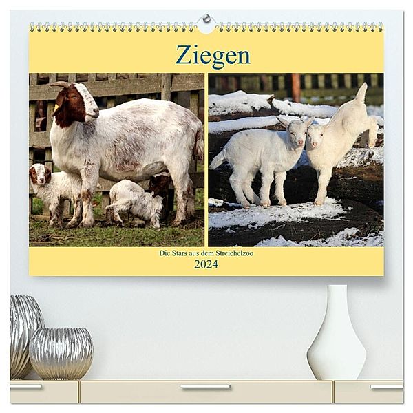 Ziegen - Die Stars aus dem Streichelzoo (hochwertiger Premium Wandkalender 2024 DIN A2 quer), Kunstdruck in Hochglanz, Arno Klatt
