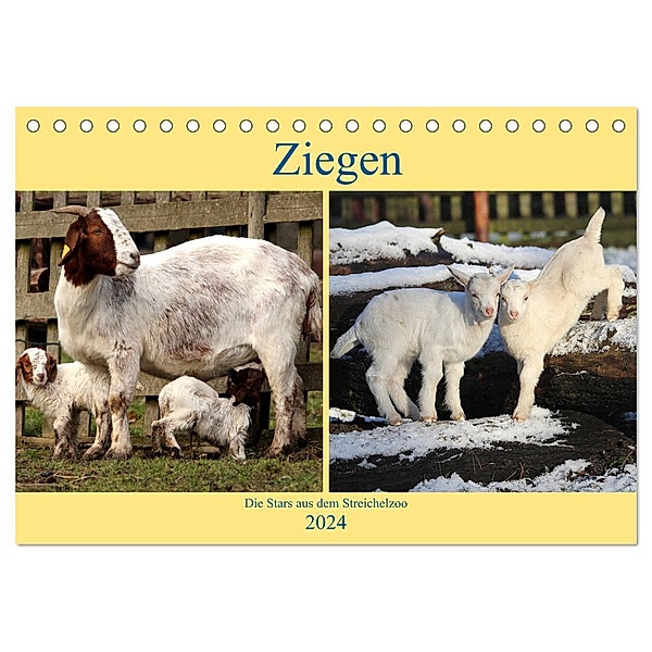Ziegen - Die Stars aus dem Streichelzoo (Tischkalender 2024 DIN A5 quer), CALVENDO Monatskalender, Arno Klatt