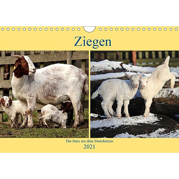 Ziegen - Die Stars aus dem Streichelzoo (Wandkalender 2021 DIN A4 quer), Arno Klatt