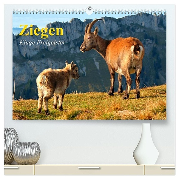 Ziegen. Kluge Freigeister (hochwertiger Premium Wandkalender 2024 DIN A2 quer), Kunstdruck in Hochglanz, Elisabeth Stanzer