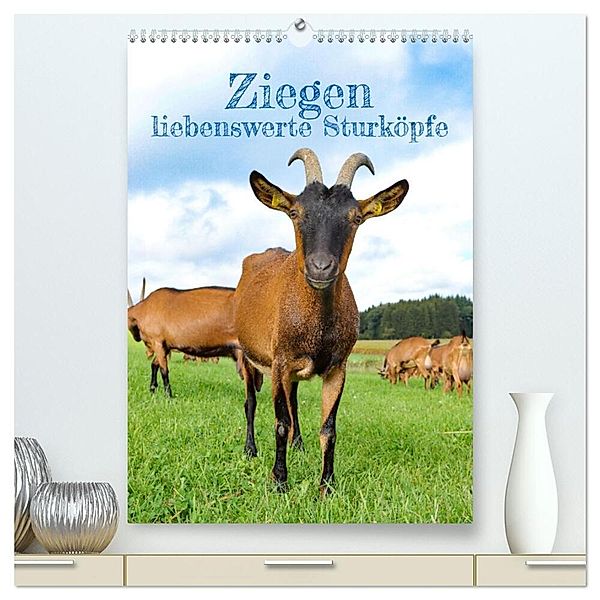Ziegen - liebenswerte Sturköpfe (hochwertiger Premium Wandkalender 2024 DIN A2 hoch), Kunstdruck in Hochglanz, Angela Merk