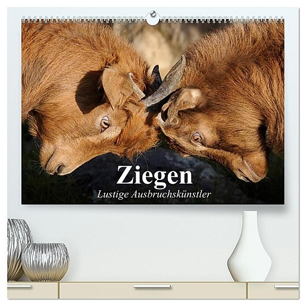 Ziegen. Lustige Ausbruchskünstler (hochwertiger Premium Wandkalender 2024 DIN A2 quer), Kunstdruck in Hochglanz, Elisabeth Stanzer