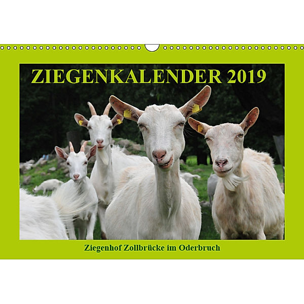 Ziegenkalender 2019 (Wandkalender 2019 DIN A3 quer), Antje Püpke