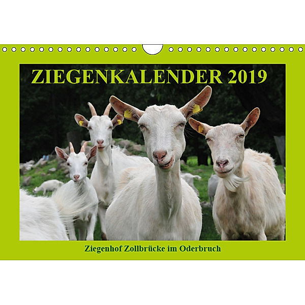 Ziegenkalender 2019 (Wandkalender 2019 DIN A4 quer), Antje Püpke