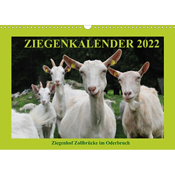 Ziegenkalender 2022 (Wandkalender 2022 DIN A3 quer), Antje Püpke