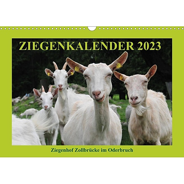 Ziegenkalender 2023 (Wandkalender 2023 DIN A3 quer), Antje Püpke