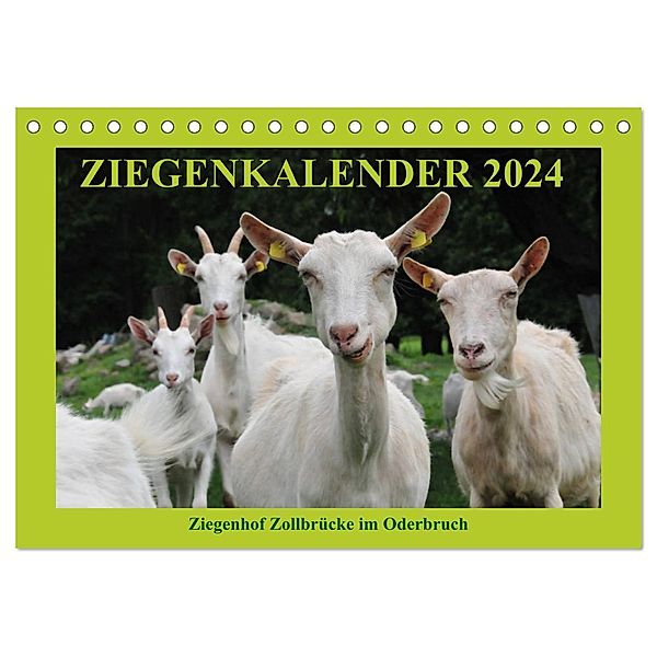 Ziegenkalender 2024 (Tischkalender 2024 DIN A5 quer), CALVENDO Monatskalender, Antje Püpke